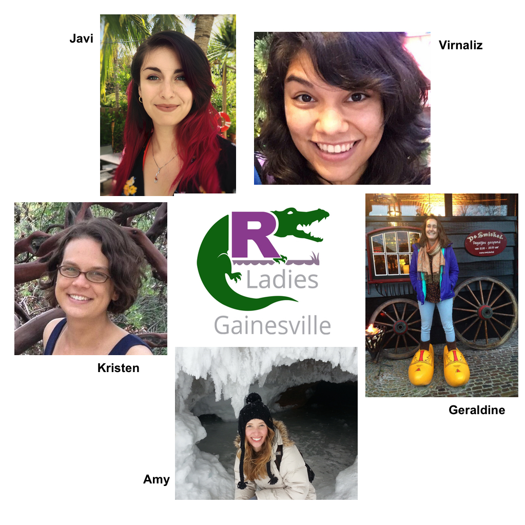 RLadies Gainesville team and logo